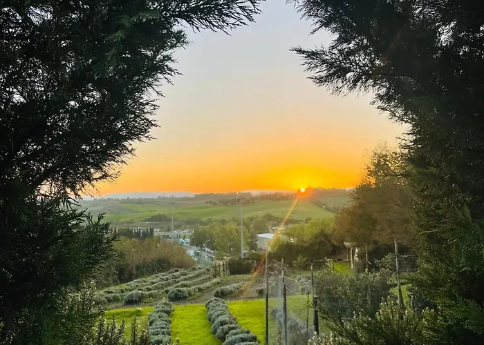 Il Lavandeto - Farmhouse In The City